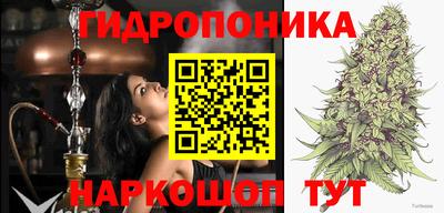 apvp Нарткала